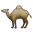 Dromedary Camel lg