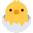 Hatching Chick twitter