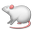 Mouse lg